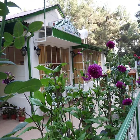 Spring Hotel Platres