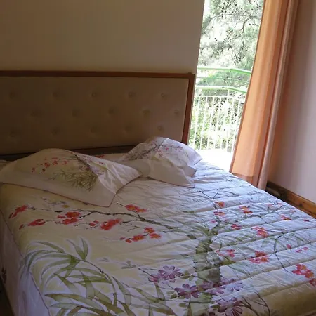 Spring Hotel *