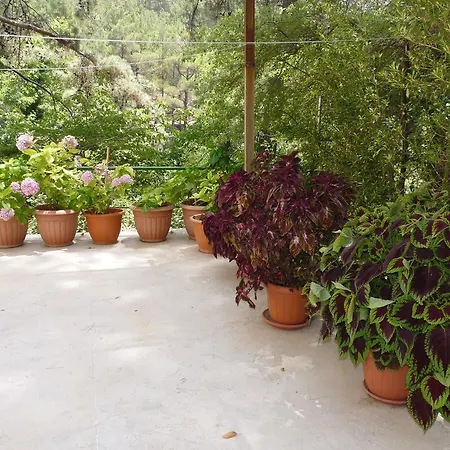 Hotel Spring Platres