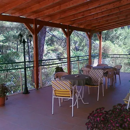 Spring Hotel Platres